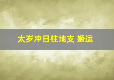 太岁冲日柱地支 婚运